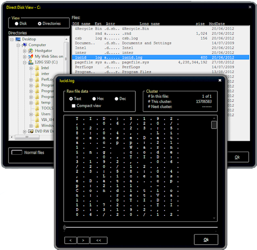 Picture of Clean Disk Security Direct Disk viewer